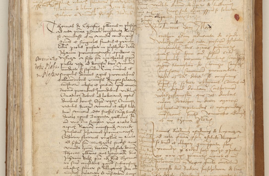 Zdjęcie nr 293 dla obiektu archiwalnego: [Acta obligationum officialia coram Johanne de Starzechowicze]