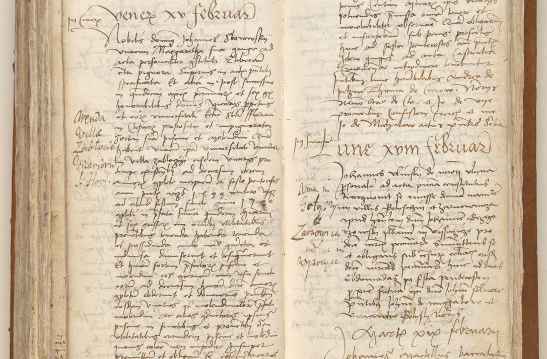 Zdjęcie nr 272 dla obiektu archiwalnego: [Acta obligationum officialia coram Johanne de Starzechowicze]