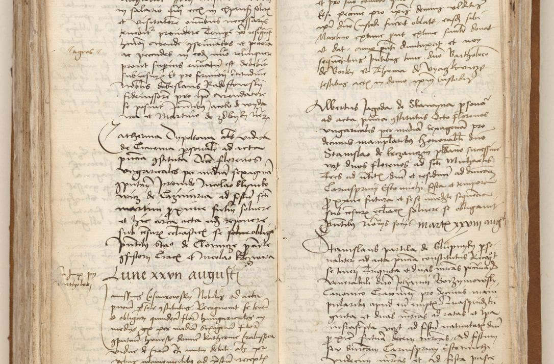 Zdjęcie nr 253 dla obiektu archiwalnego: [Acta obligationum officialia coram Johanne de Starzechowicze]