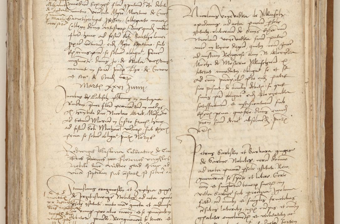 Zdjęcie nr 246 dla obiektu archiwalnego: [Acta obligationum officialia coram Johanne de Starzechowicze]