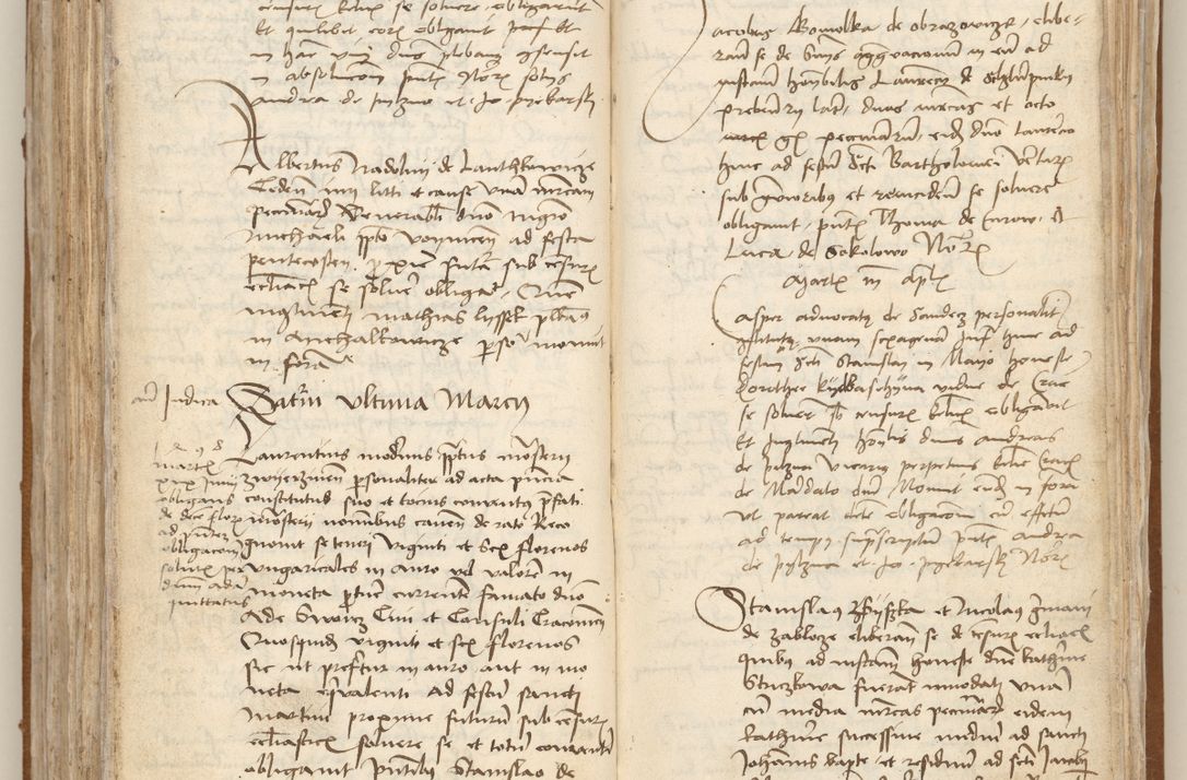 Zdjęcie nr 232 dla obiektu archiwalnego: [Acta obligationum officialia coram Johanne de Starzechowicze]