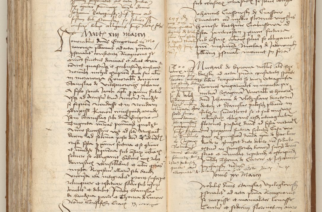 Zdjęcie nr 228 dla obiektu archiwalnego: [Acta obligationum officialia coram Johanne de Starzechowicze]