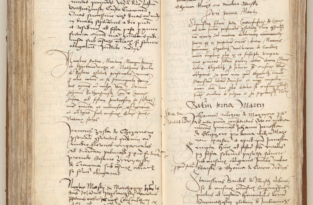 Zdjęcie nr 226 dla obiektu archiwalnego: [Acta obligationum officialia coram Johanne de Starzechowicze]