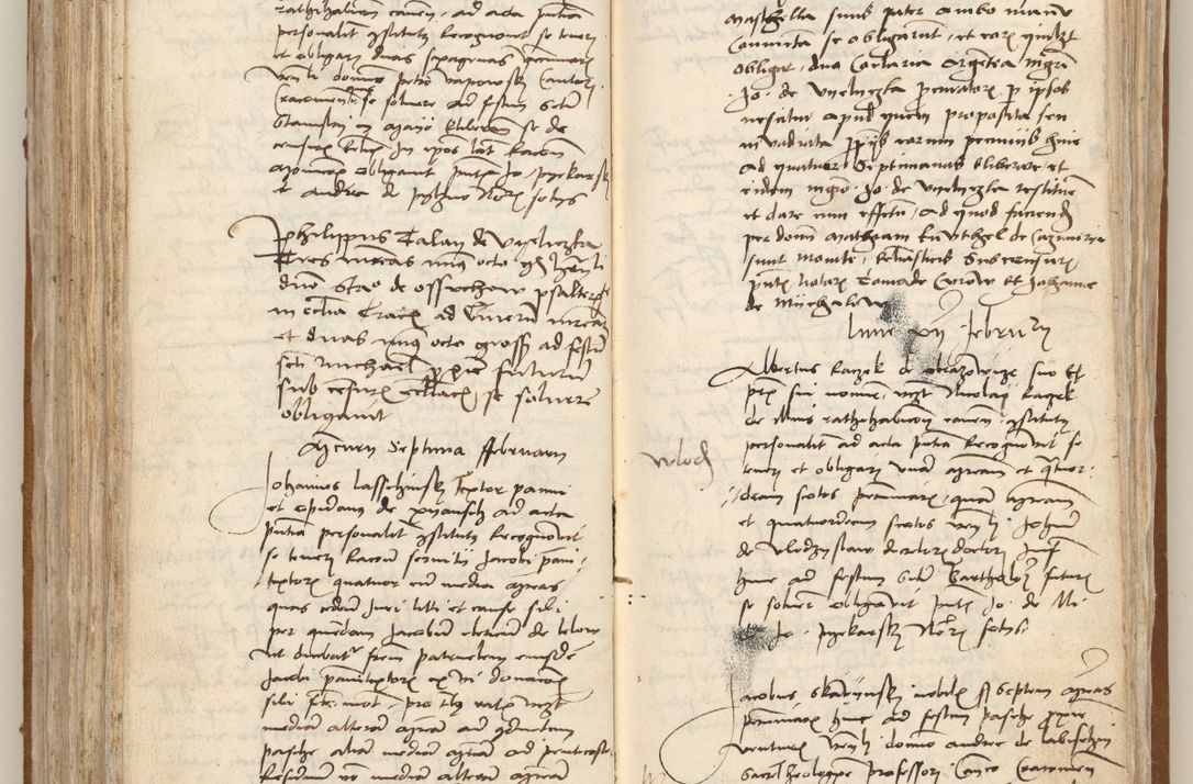 Zdjęcie nr 224 dla obiektu archiwalnego: [Acta obligationum officialia coram Johanne de Starzechowicze]