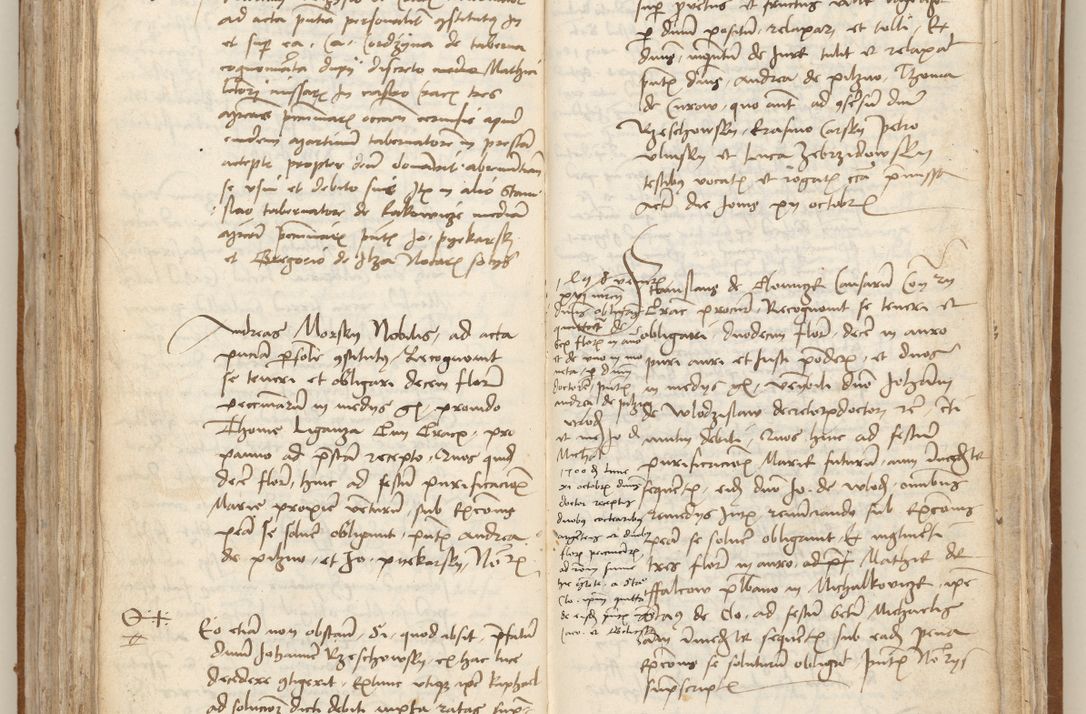 Zdjęcie nr 216 dla obiektu archiwalnego: [Acta obligationum officialia coram Johanne de Starzechowicze]