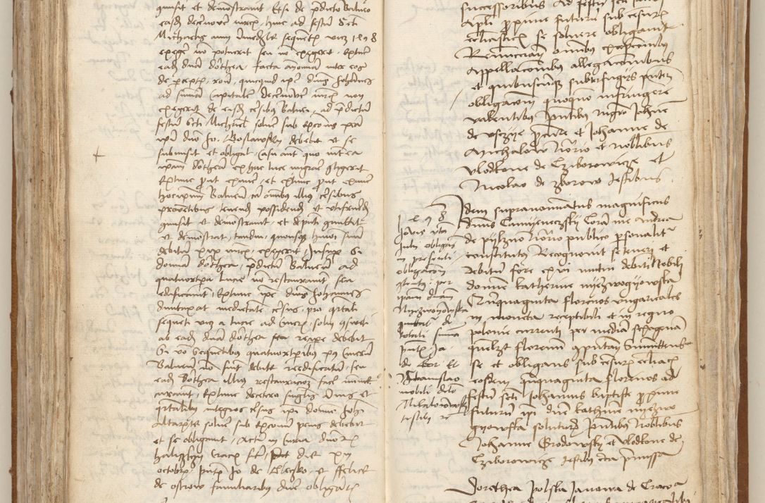 Zdjęcie nr 217 dla obiektu archiwalnego: [Acta obligationum officialia coram Johanne de Starzechowicze]