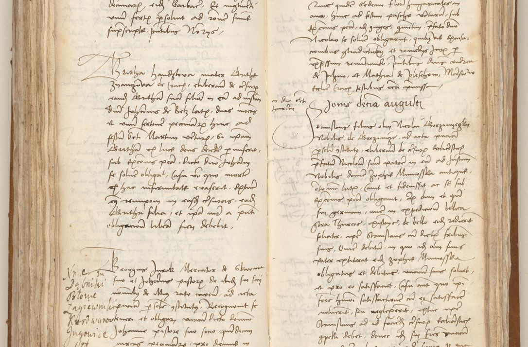 Zdjęcie nr 203 dla obiektu archiwalnego: [Acta obligationum officialia coram Johanne de Starzechowicze]