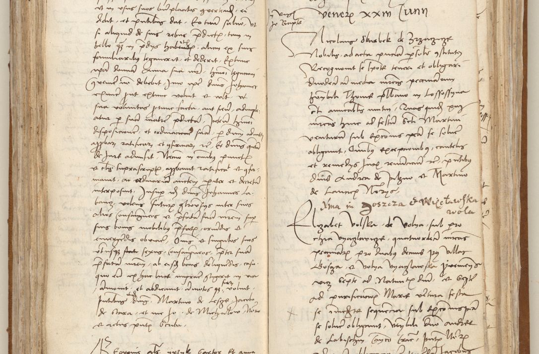 Zdjęcie nr 196 dla obiektu archiwalnego: [Acta obligationum officialia coram Johanne de Starzechowicze]