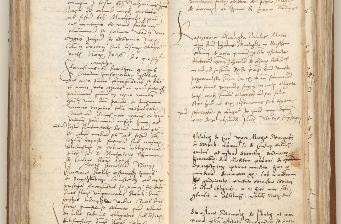 Zdjęcie nr 191 dla obiektu archiwalnego: [Acta obligationum officialia coram Johanne de Starzechowicze]