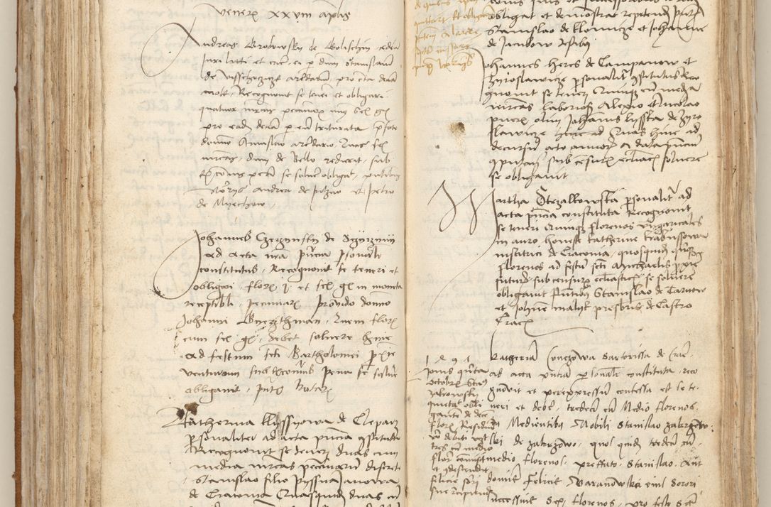 Zdjęcie nr 183 dla obiektu archiwalnego: [Acta obligationum officialia coram Johanne de Starzechowicze]