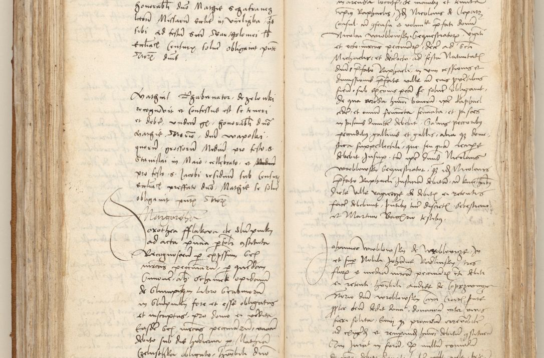 Zdjęcie nr 175 dla obiektu archiwalnego: [Acta obligationum officialia coram Johanne de Starzechowicze]