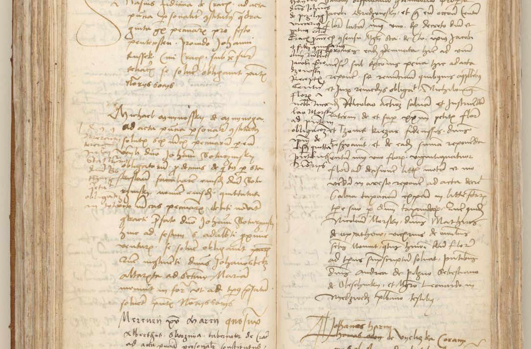 Zdjęcie nr 169 dla obiektu archiwalnego: [Acta obligationum officialia coram Johanne de Starzechowicze]