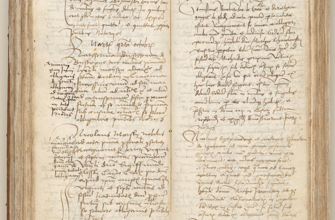 Zdjęcie nr 139 dla obiektu archiwalnego: [Acta obligationum officialia coram Johanne de Starzechowicze]