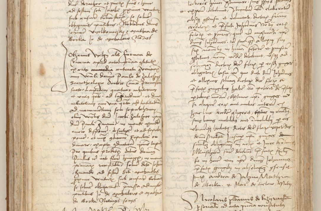 Zdjęcie nr 120 dla obiektu archiwalnego: [Acta obligationum officialia coram Johanne de Starzechowicze]
