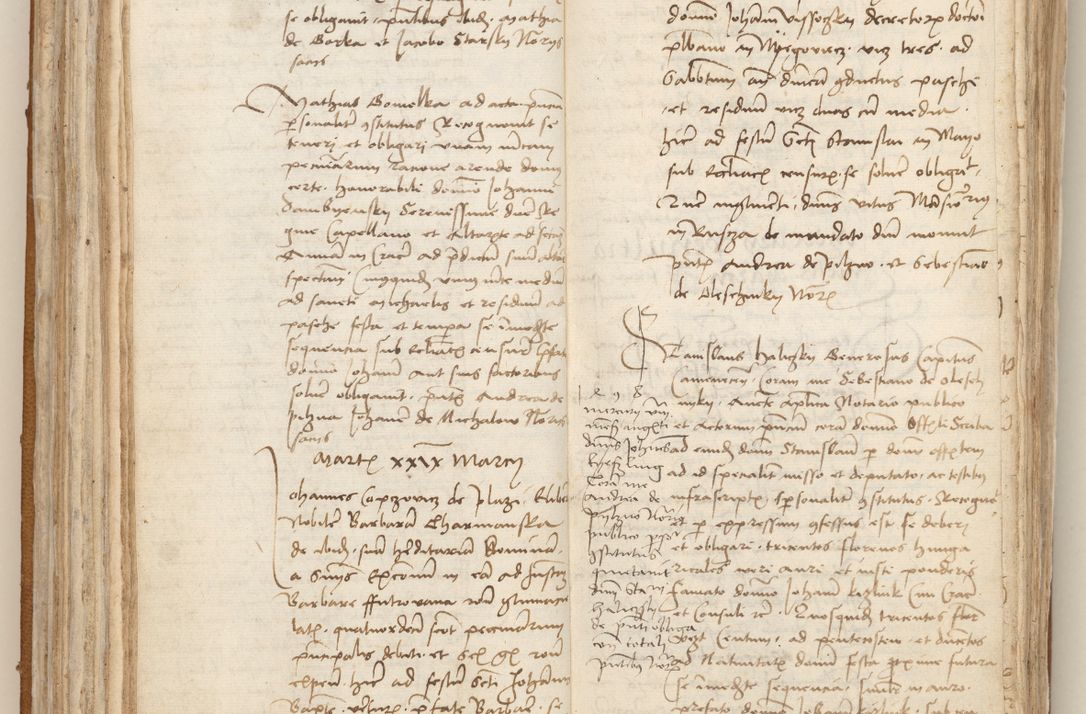 Zdjęcie nr 101 dla obiektu archiwalnego: [Acta obligationum officialia coram Johanne de Starzechowicze]