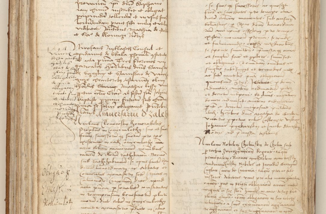 Zdjęcie nr 99 dla obiektu archiwalnego: [Acta obligationum officialia coram Johanne de Starzechowicze]