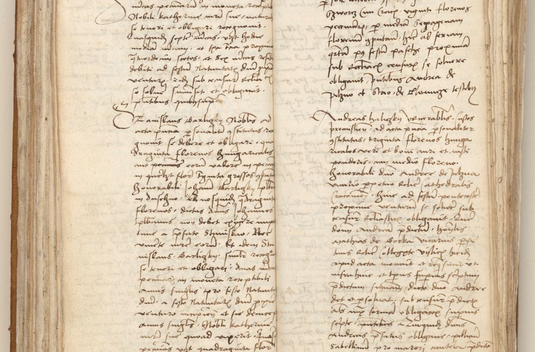 Zdjęcie nr 96 dla obiektu archiwalnego: [Acta obligationum officialia coram Johanne de Starzechowicze]