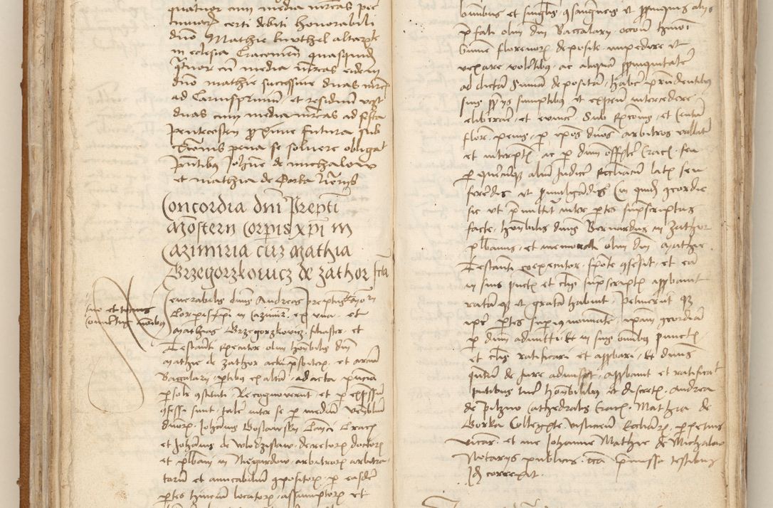 Zdjęcie nr 73 dla obiektu archiwalnego: [Acta obligationum officialia coram Johanne de Starzechowicze]