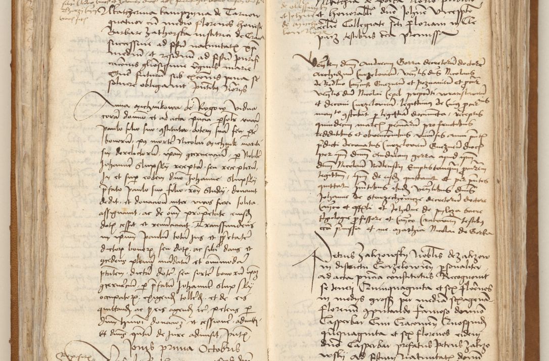 Zdjęcie nr 54 dla obiektu archiwalnego: [Acta obligationum officialia coram Johanne de Starzechowicze]