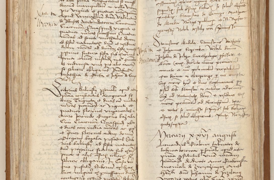 Zdjęcie nr 50 dla obiektu archiwalnego: [Acta obligationum officialia coram Johanne de Starzechowicze]