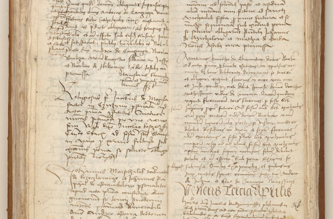 Zdjęcie nr 31 dla obiektu archiwalnego: [Acta obligationum officialia coram Johanne de Starzechowicze]