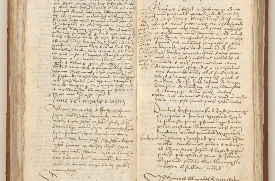 Zdjęcie nr 28 dla obiektu archiwalnego: [Acta obligationum officialia coram Johanne de Starzechowicze]