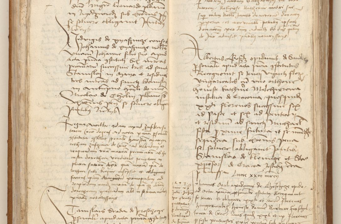 Zdjęcie nr 29 dla obiektu archiwalnego: [Acta obligationum officialia coram Johanne de Starzechowicze]