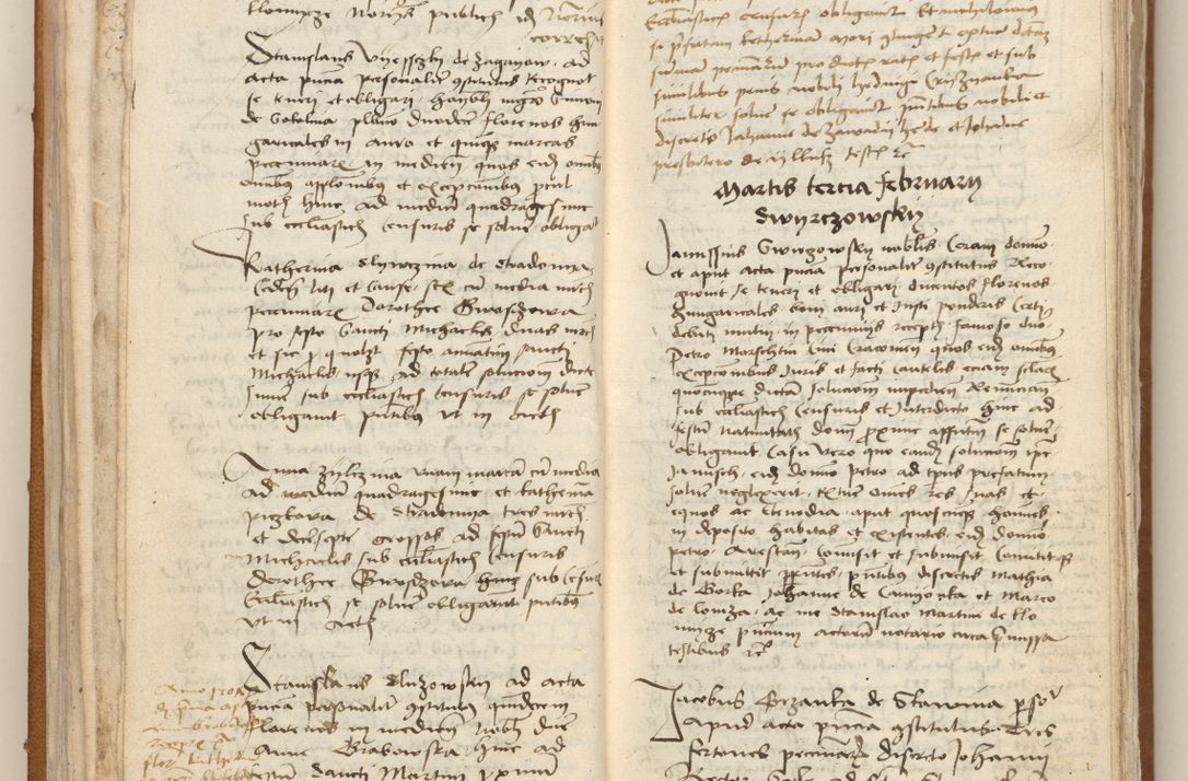 Zdjęcie nr 23 dla obiektu archiwalnego: [Acta obligationum officialia coram Johanne de Starzechowicze]