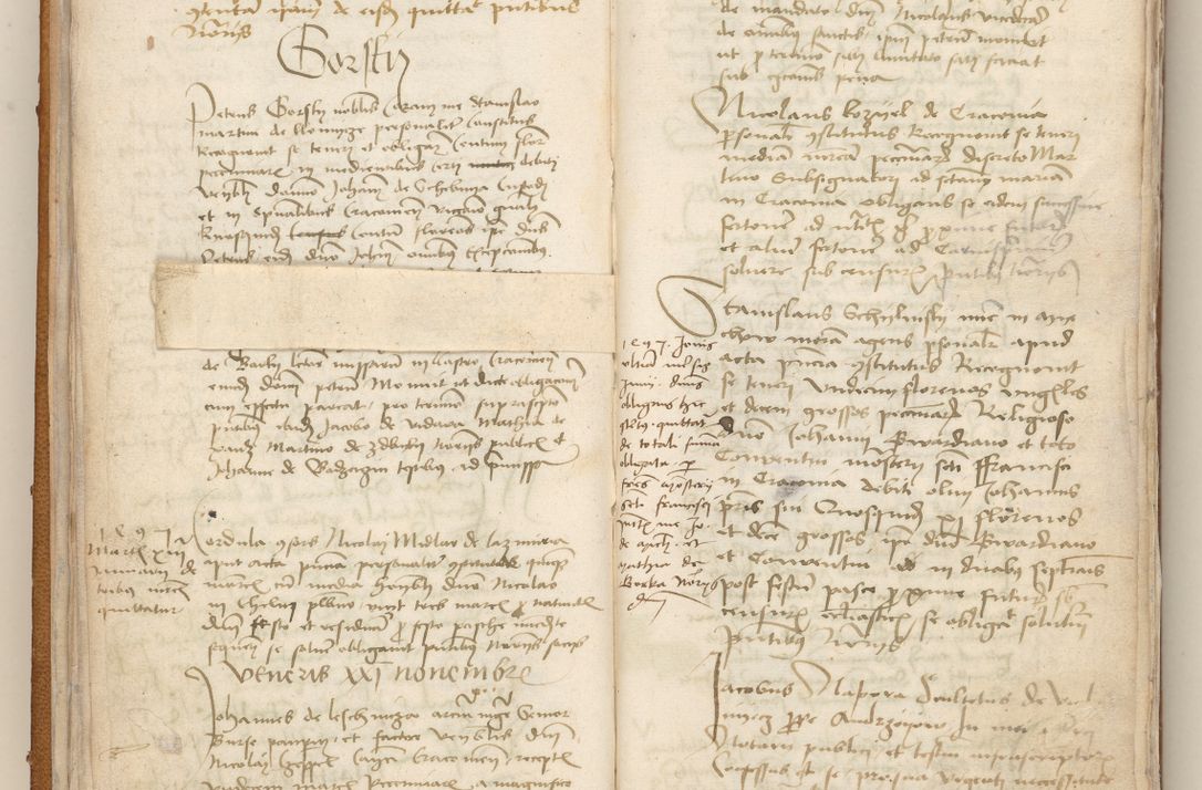 Zdjęcie nr 15 dla obiektu archiwalnego: [Acta obligationum officialia coram Johanne de Starzechowicze]