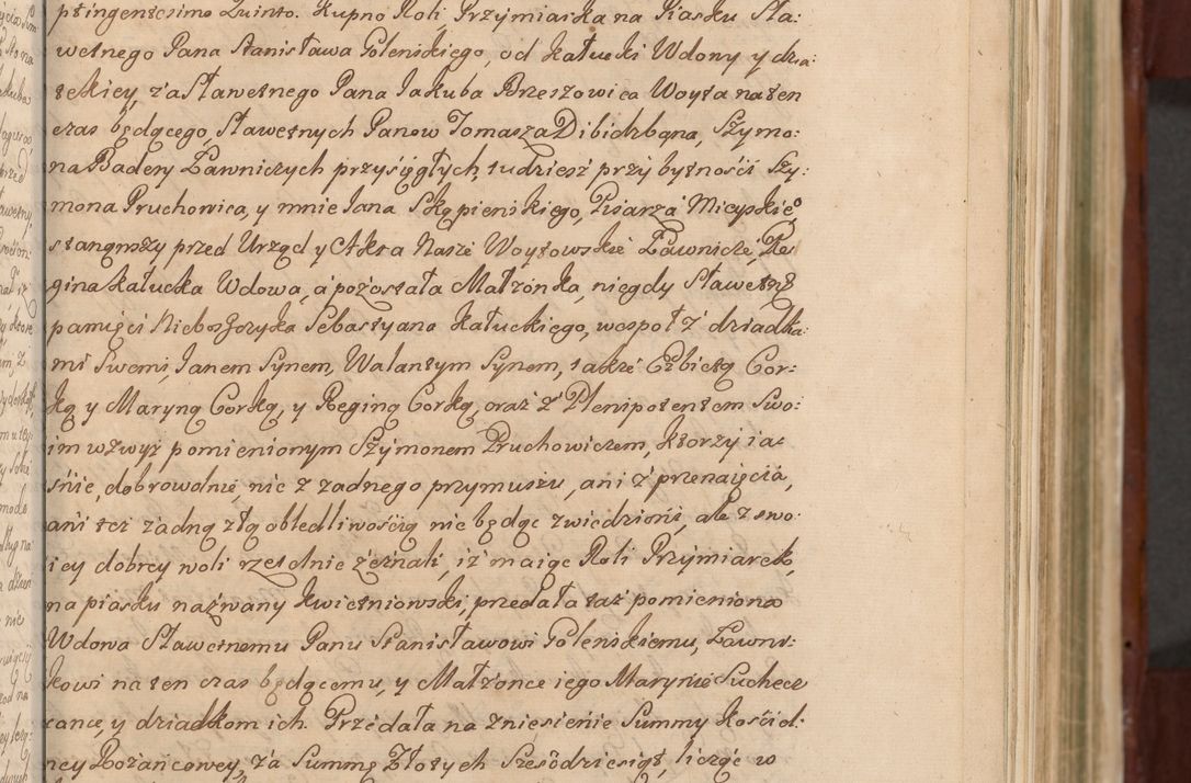 Zdjęcie nr 134 dla obiektu archiwalnego: Acta actorum episcopalium R. D. Casimiri a Łubna Łubiński, episcopi Cracoviensis, ducis Severiae ab anno 1714 ad annum 1719 conscripta. Volumen II