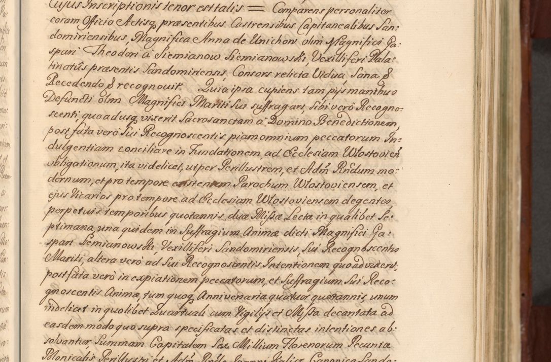 Zdjęcie nr 50 dla obiektu archiwalnego: Acta actorum episcopalium R. D. Casimiri a Łubna Łubiński, episcopi Cracoviensis, ducis Severiae ab anno 1714 ad annum 1719 conscripta. Volumen II