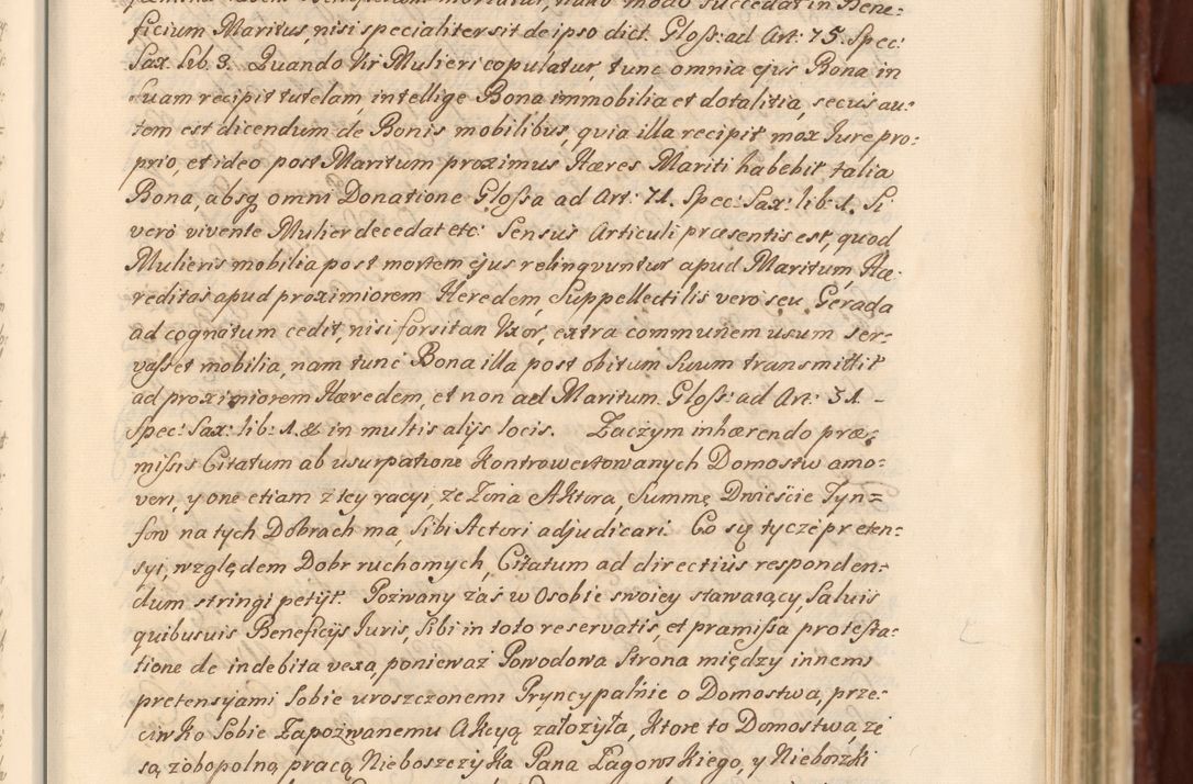 Zdjęcie nr 22 dla obiektu archiwalnego: Acta actorum episcopalium R. D. Casimiri a Łubna Łubiński, episcopi Cracoviensis, ducis Severiae ab anno 1714 ad annum 1719 conscripta. Volumen II