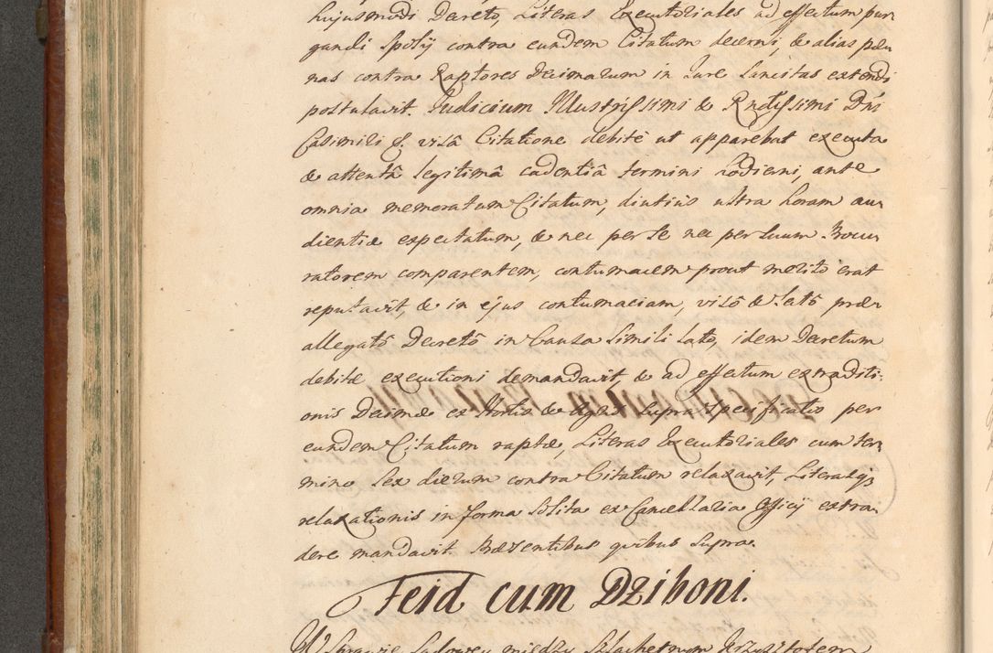 Zdjęcie nr 399 dla obiektu archiwalnego: Acta actorum episcopalium R. D. Casimiri a Łubna Łubiński, episcopi Cracoviensis, ducis Severiae ab anno 1714 ad annum 1719 conscripta. Volumen II