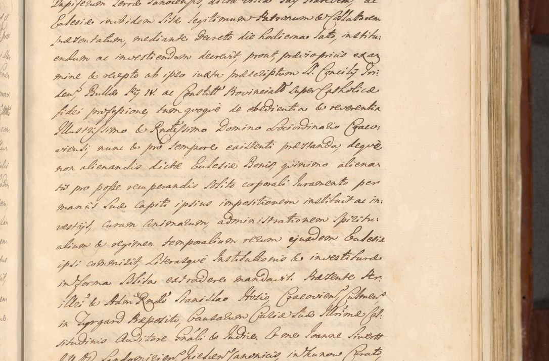 Zdjęcie nr 394 dla obiektu archiwalnego: Acta actorum episcopalium R. D. Casimiri a Łubna Łubiński, episcopi Cracoviensis, ducis Severiae ab anno 1714 ad annum 1719 conscripta. Volumen II