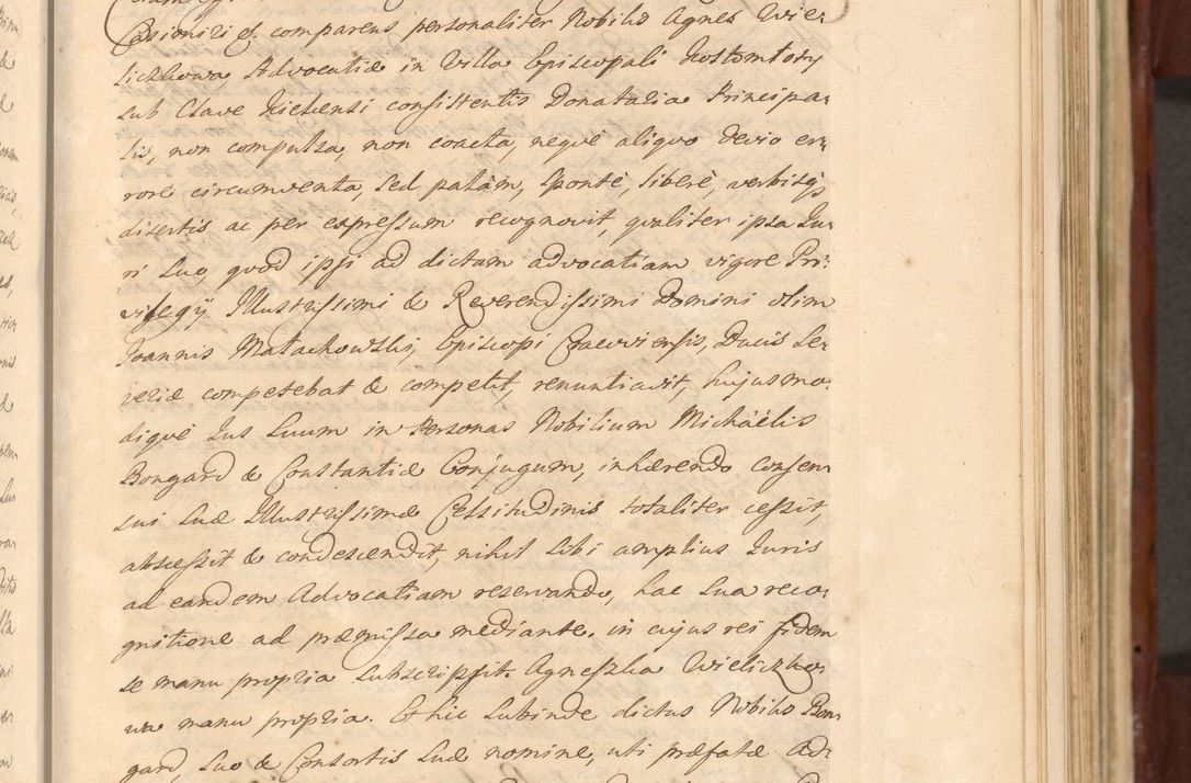 Zdjęcie nr 392 dla obiektu archiwalnego: Acta actorum episcopalium R. D. Casimiri a Łubna Łubiński, episcopi Cracoviensis, ducis Severiae ab anno 1714 ad annum 1719 conscripta. Volumen II