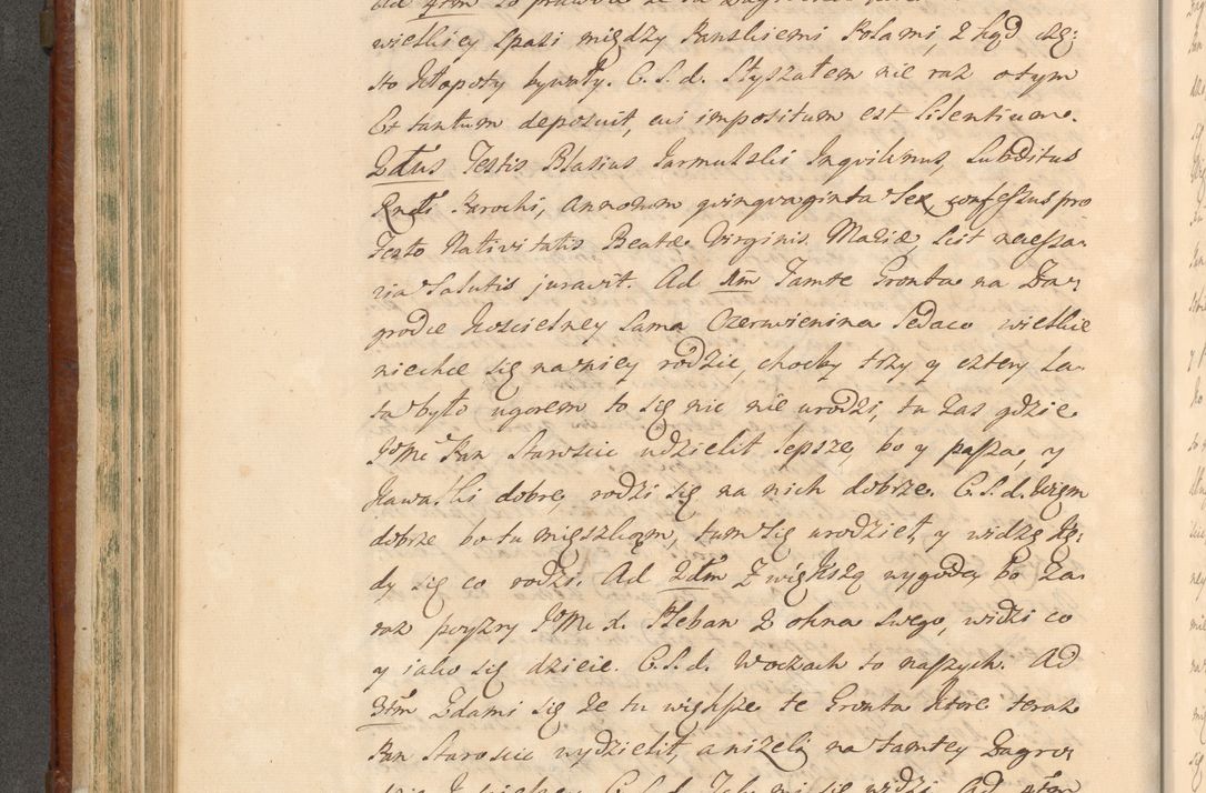 Zdjęcie nr 383 dla obiektu archiwalnego: Acta actorum episcopalium R. D. Casimiri a Łubna Łubiński, episcopi Cracoviensis, ducis Severiae ab anno 1714 ad annum 1719 conscripta. Volumen II