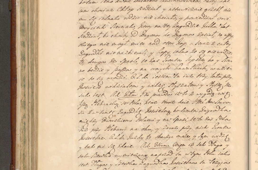 Zdjęcie nr 385 dla obiektu archiwalnego: Acta actorum episcopalium R. D. Casimiri a Łubna Łubiński, episcopi Cracoviensis, ducis Severiae ab anno 1714 ad annum 1719 conscripta. Volumen II