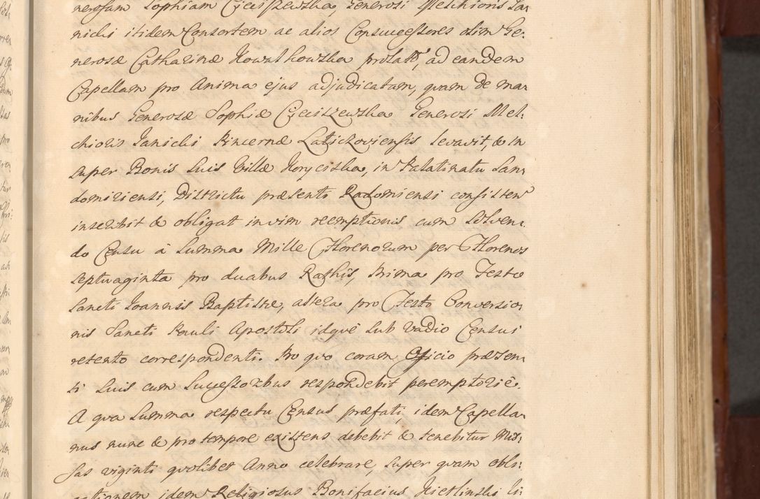 Zdjęcie nr 372 dla obiektu archiwalnego: Acta actorum episcopalium R. D. Casimiri a Łubna Łubiński, episcopi Cracoviensis, ducis Severiae ab anno 1714 ad annum 1719 conscripta. Volumen II