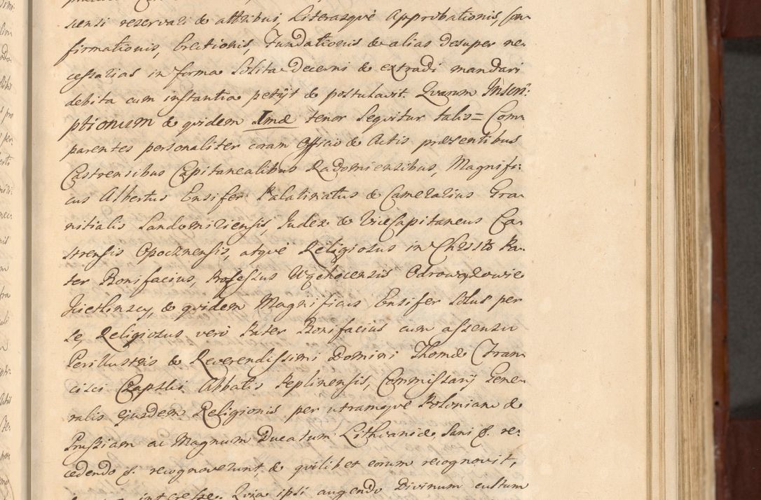 Zdjęcie nr 368 dla obiektu archiwalnego: Acta actorum episcopalium R. D. Casimiri a Łubna Łubiński, episcopi Cracoviensis, ducis Severiae ab anno 1714 ad annum 1719 conscripta. Volumen II