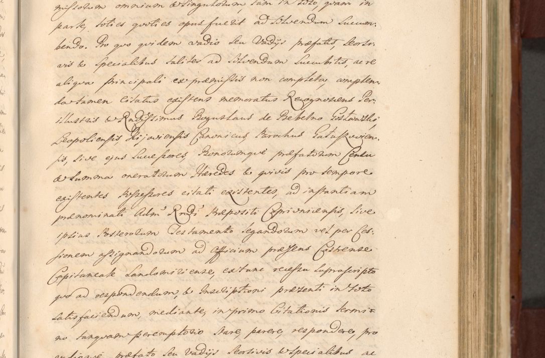 Zdjęcie nr 533 dla obiektu archiwalnego: Acta actorum episcopalium R. D. Casimiri a Łubna Łubiński, episcopi Cracoviensis, ducis Severiae ab anno 1714 ad annum 1719 conscripta. Volumen II