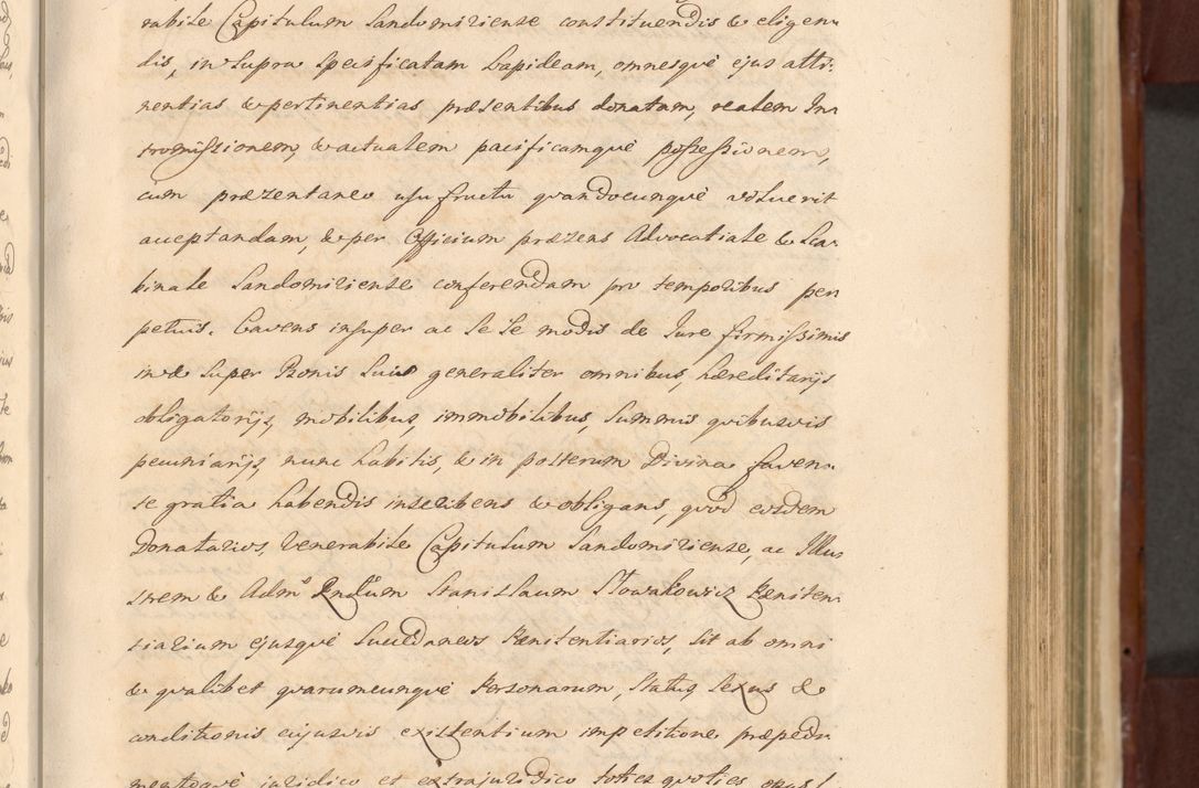 Zdjęcie nr 523 dla obiektu archiwalnego: Acta actorum episcopalium R. D. Casimiri a Łubna Łubiński, episcopi Cracoviensis, ducis Severiae ab anno 1714 ad annum 1719 conscripta. Volumen II