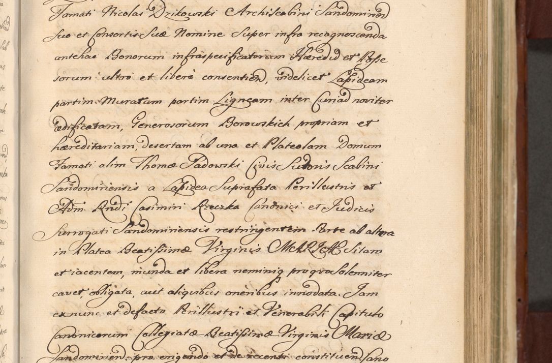 Zdjęcie nr 521 dla obiektu archiwalnego: Acta actorum episcopalium R. D. Casimiri a Łubna Łubiński, episcopi Cracoviensis, ducis Severiae ab anno 1714 ad annum 1719 conscripta. Volumen II