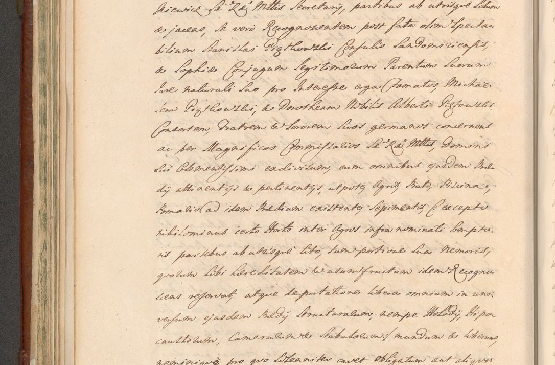 Zdjęcie nr 496 dla obiektu archiwalnego: Acta actorum episcopalium R. D. Casimiri a Łubna Łubiński, episcopi Cracoviensis, ducis Severiae ab anno 1714 ad annum 1719 conscripta. Volumen II