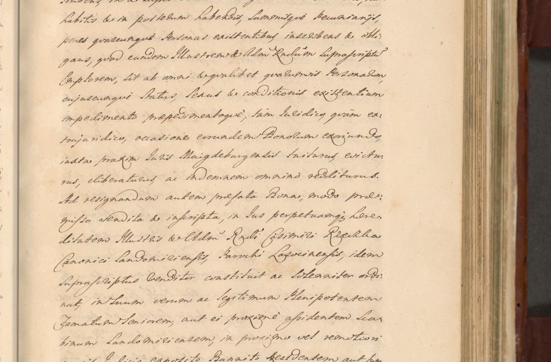 Zdjęcie nr 491 dla obiektu archiwalnego: Acta actorum episcopalium R. D. Casimiri a Łubna Łubiński, episcopi Cracoviensis, ducis Severiae ab anno 1714 ad annum 1719 conscripta. Volumen II