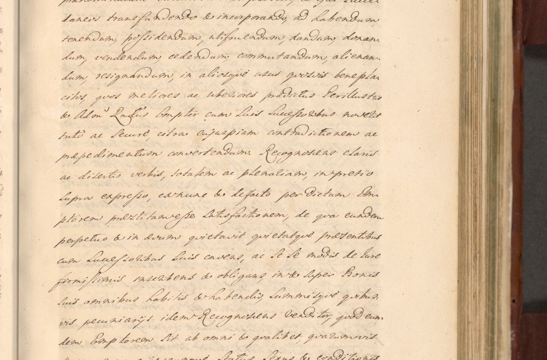 Zdjęcie nr 495 dla obiektu archiwalnego: Acta actorum episcopalium R. D. Casimiri a Łubna Łubiński, episcopi Cracoviensis, ducis Severiae ab anno 1714 ad annum 1719 conscripta. Volumen II