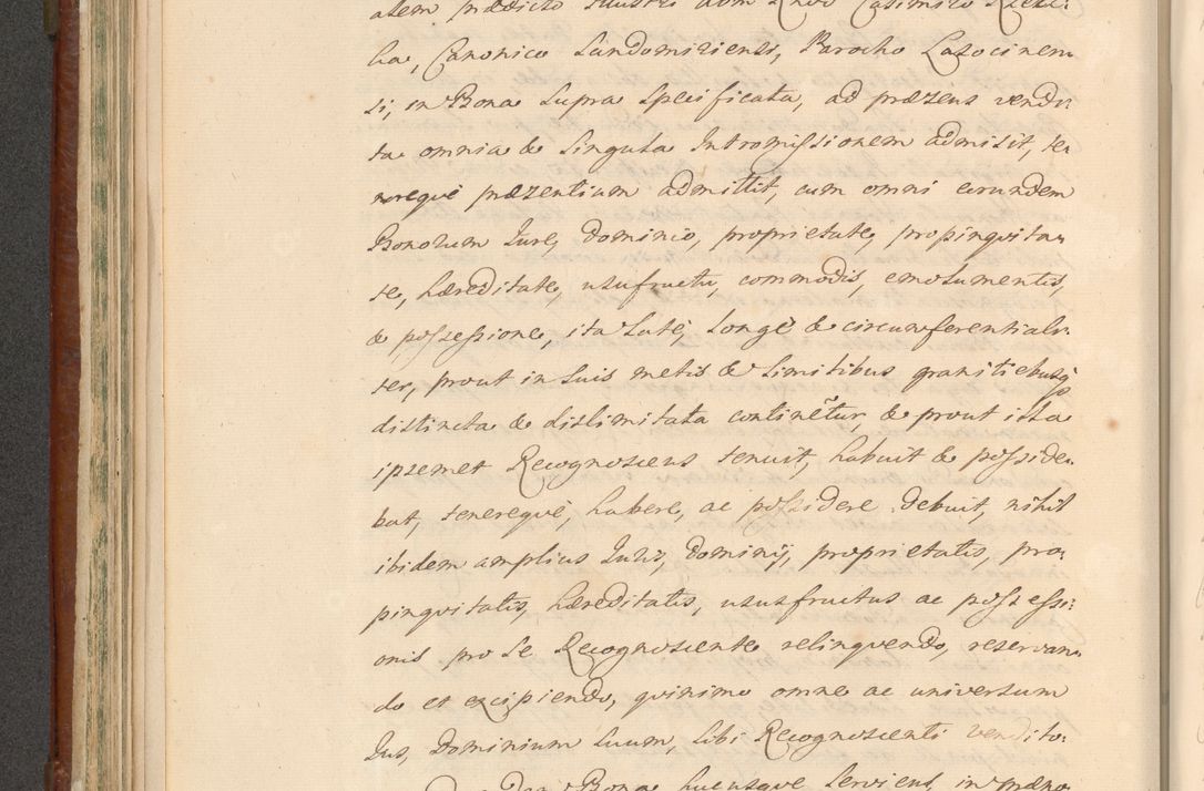 Zdjęcie nr 488 dla obiektu archiwalnego: Acta actorum episcopalium R. D. Casimiri a Łubna Łubiński, episcopi Cracoviensis, ducis Severiae ab anno 1714 ad annum 1719 conscripta. Volumen II