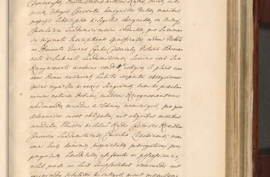 Zdjęcie nr 489 dla obiektu archiwalnego: Acta actorum episcopalium R. D. Casimiri a Łubna Łubiński, episcopi Cracoviensis, ducis Severiae ab anno 1714 ad annum 1719 conscripta. Volumen II