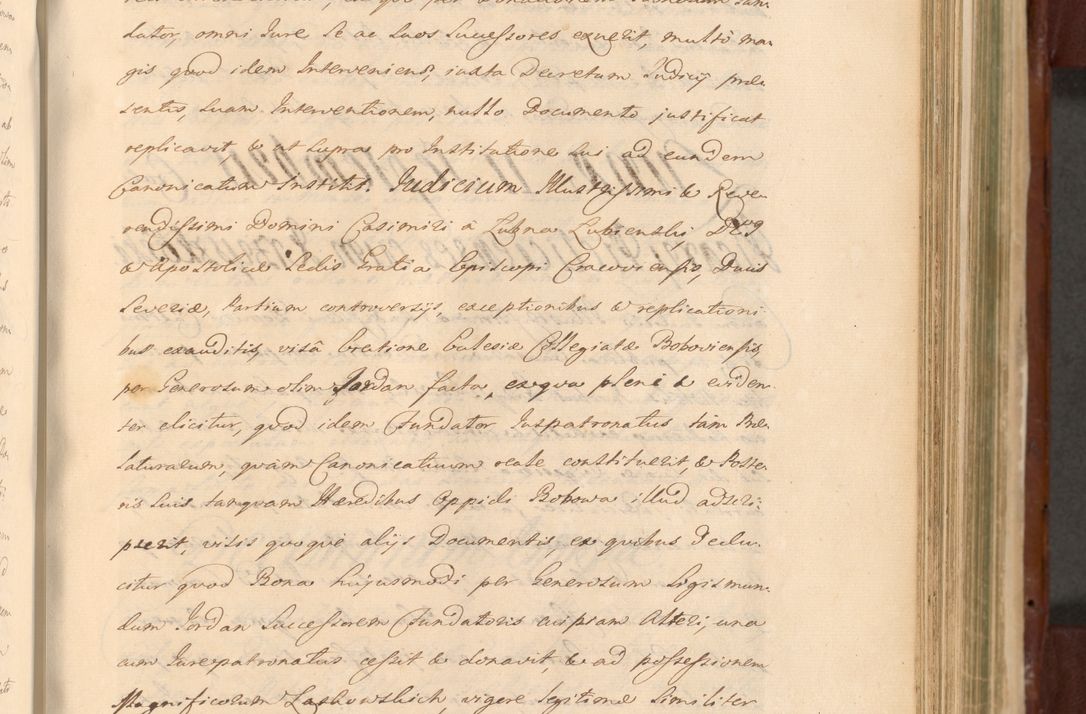 Zdjęcie nr 796 dla obiektu archiwalnego: Acta actorum episcopalium R. D. Casimiri a Łubna Łubiński, episcopi Cracoviensis, ducis Severiae ab anno 1714 ad annum 1719 conscripta. Volumen II