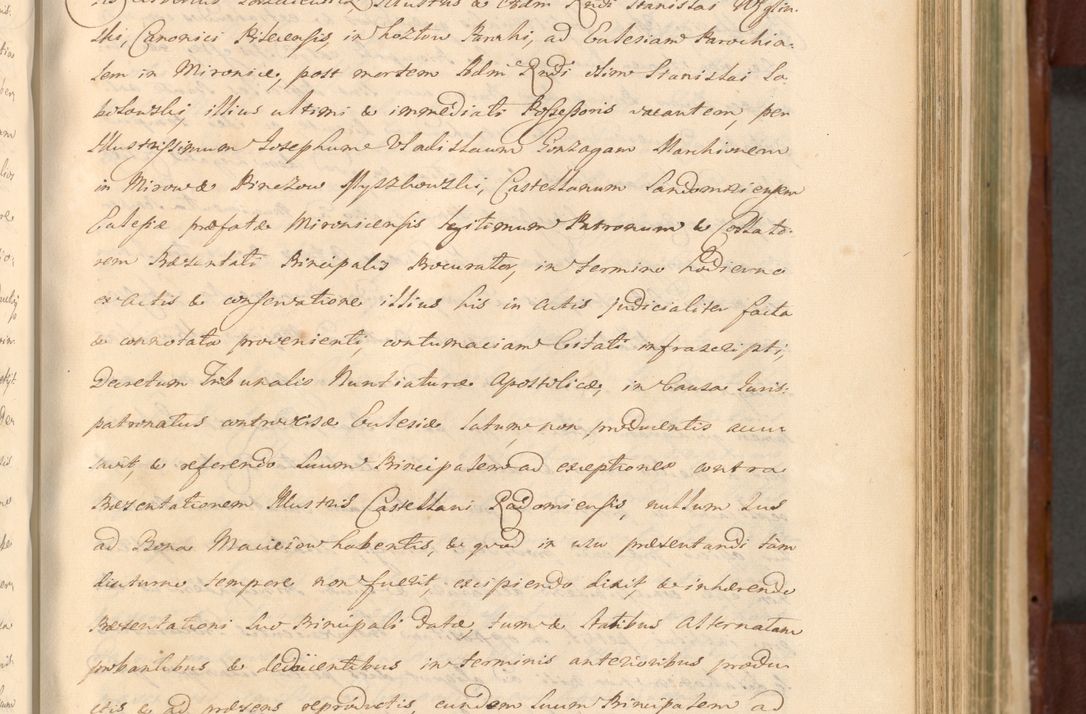 Zdjęcie nr 736 dla obiektu archiwalnego: Acta actorum episcopalium R. D. Casimiri a Łubna Łubiński, episcopi Cracoviensis, ducis Severiae ab anno 1714 ad annum 1719 conscripta. Volumen II