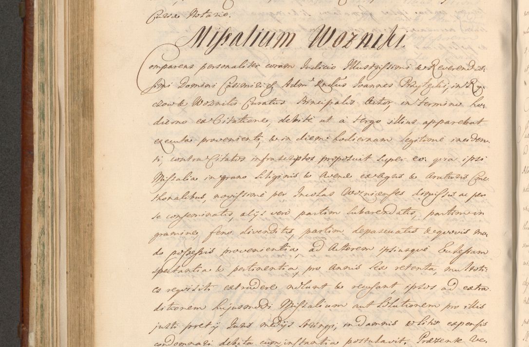 Zdjęcie nr 722 dla obiektu archiwalnego: Acta actorum episcopalium R. D. Casimiri a Łubna Łubiński, episcopi Cracoviensis, ducis Severiae ab anno 1714 ad annum 1719 conscripta. Volumen II